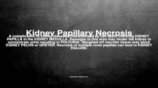 Medical vocabulary What does Kidney Papillary Necrosis mean [upl. by Dirrej]