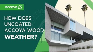 Accoya wood weathering  What to expect with uncoated Accoya [upl. by Anallese]