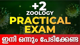 PLUS TWO ZOOLOGY LAB EXAM  PLUS TWO PRACTICAL EXAMS  EXAM WINNER [upl. by Nnalatsyrc196]