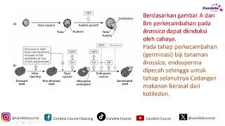 LATIHAN SOAL KSM MA BIOLOGI 2024 1 Tingkat Provinsi [upl. by Rocher]