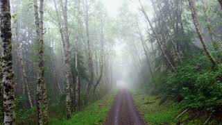 Tillamook Forest Oregon  Last visit to Gods Valley [upl. by Yrnehnhoj]