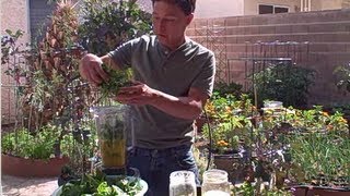 How to Make a Green Smoothie using Fresh Picked Spinach [upl. by Kcaz]