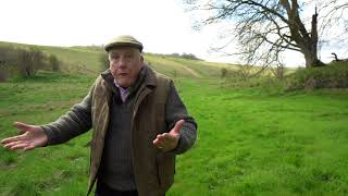 Walking the ancient tracks of Salisbury Plain [upl. by Hbahsur483]