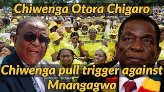 Chiwenga Otora Chigaro  Mnangagwa ngaaende🇿🇼 [upl. by Magel]