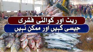 Wholesale Fish Market Karachi Fisheries Biggest Fish Market  Current Fish Price  Seafood King Fish [upl. by Noneek]