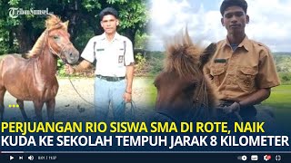 Kisah Perjuangan Rio Siswa SMA di Rote Naik Kuda ke Sekolah Sejauh 8 Kilometer Demi Masa Depan [upl. by Bohner204]