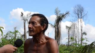 Pegadas de “Mapinguari” ou “Jurupari” assustam moradores da Vila Amazônia interior de Parintins [upl. by Areikahs571]