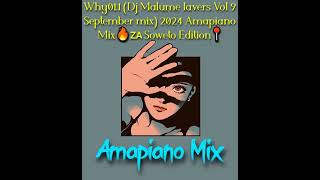 Amapiano Mix 2024  The Best of Amapiano 2024 by Why011 [upl. by Rustie]