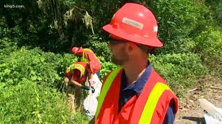 Crews clean hundreds of miles of road [upl. by Py]