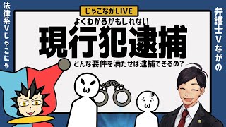 【 法律 】よくわかるかもしれない現行犯逮捕とは？現行犯逮捕の要件とは？ [upl. by Yenffit981]