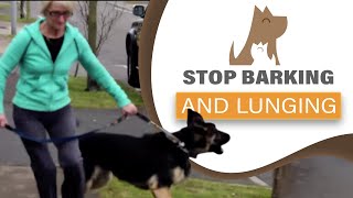 How to STOP your dog barking lunging at visitors amp dogs aggression [upl. by Weixel]