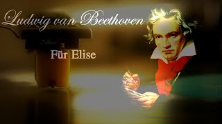 Beethoven Für Elise  Bagatelle No 25 in A Minor  2 Hours Version [upl. by Lecram]