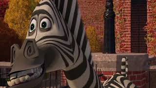 Marty the Zebra 2 [upl. by Meisel]