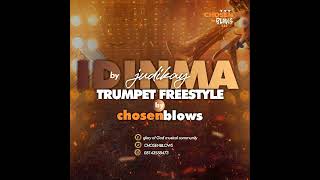 idinma by judikay trumpet cover by chosenblows [upl. by Dulcine]