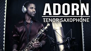 Adorn  Miguel Saxophone Cover [upl. by Rohn643]