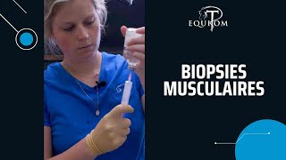 Biopsies musculaires chez un cheval ðŸ˜¨ [upl. by Eyks470]