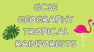 Tropical Rainforests  GCSE GEOGRAPHY [upl. by Martguerita244]