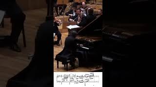 Moszkowski Piano Concerto No 2 [upl. by Notlok]