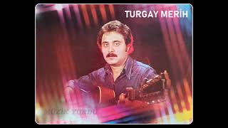 Turgay Merih  Bana Benzerler [upl. by Setarcos]