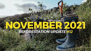 November 2021  Reforestation Updates  One Tree Planted [upl. by Lleder]