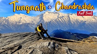 TUNGNATH Temple Uttarakhand  Tungnath Chandrashila Trek  History of Tungnath Temple  2023 [upl. by Ferullo]