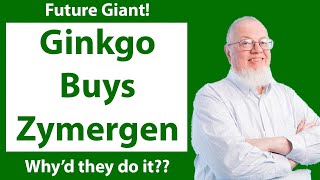 Why did Ginkgo Buy Zymergen  Plus DNA Q2 Earnings Breakdown [upl. by Ener774]