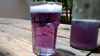 How to make Purple Ginger Beer homemade  Beginners Guide to Brewing Beer at Home  Alcoholic Beer [upl. by Ahsenak]