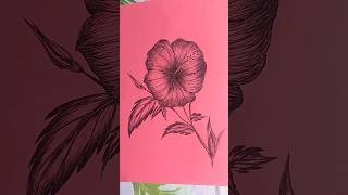 Drawing Flower With Pen art drawing artist flowerart draw shorts ytshrots [upl. by Ck]