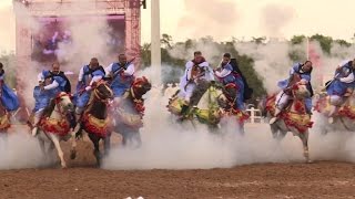 Tradition art blend in Morocco tbourida cavalry charges [upl. by Hareehat]