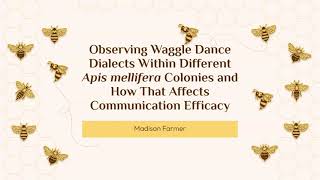 Waggle Dance Dialects within Apis mellifera [upl. by Shaylah]