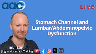 Stomach Channel and LumbarAbdominopelvic Dysfunction Replay [upl. by Ong83]