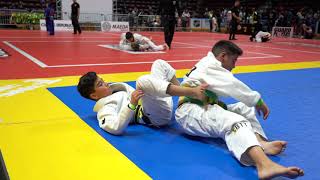 2019 Ontario Open  Kids JiuJitsu Tournament Highlights [upl. by Christy]