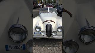 1953 JAGUAR XK 120 OTS shorts short jaguar jaguarxk 120 jaguarcars roadster ots britishcars [upl. by Rexferd]