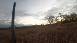 Pheasant Hunting Ohio 2024 [upl. by Ultima]