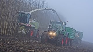 Holzhäckseln mit Claas Jaguar [upl. by Attenyw537]