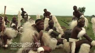 Celebrating Zulu Heritage Through Tribal Dance [upl. by Aurel]