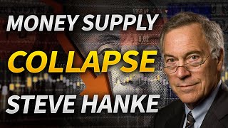 Collapsing Money Supply to Cause Recession in 2025 with Steve Hanke [upl. by Sparhawk]