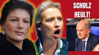 Weidel und Wagenknecht bringen Scholz aus der Fassung Alice Weidel Sahra Wagenknecht Bundestag [upl. by Nayra]