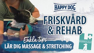 FRISKVÅRD amp REHAB 🐶  Följ med till hundfysioterapeuten  lär dig massera och stretcha din hund 🤍 [upl. by Norit274]