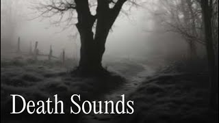 Death Sounds [upl. by Aloiv]