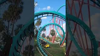 Kumba Famous Double Corkscrews  Busch Gardens Tampa kumba bgt mcv bolligerandmabillard shorts [upl. by Avihs723]