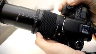 Sigma 18300mm f3563 DC OS Macro C lens review with samples [upl. by Evatsug]