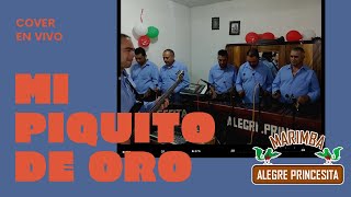 Mi piquito de oro  cover Marimba Alegre Princesita en vivo [upl. by Maxima]