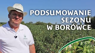 Podsumowanie sezonu w Błesznie nawożenie borówki w sierpniu  Zbyszek Marek [upl. by Brook947]