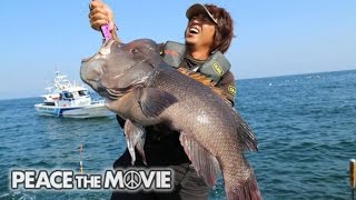 PEACE THE MOVIE 04「磯で釣れるものは全部釣る！」フカセ釣り・佐伯市鶴見の旅後篇平和卓也580 [upl. by Cadmann832]