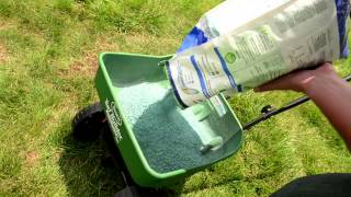 How to Overseed Your Lawn  Ace Hardware [upl. by Leaper]