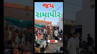 જય રામાપીર રૂપાવટી vi🙏sorts ramapir ramdev ramapirstatus [upl. by Michey714]