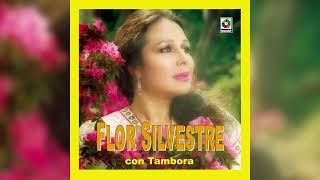 Flor Silvestre  Gaviota Traidora Visualizador Oficial [upl. by Liva]