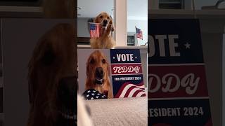 My dog ran for president [upl. by Amoeji351]