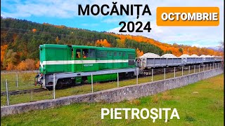 MOCANITA OCTOMBRIE 2024  PIETROSITA [upl. by Eugor]